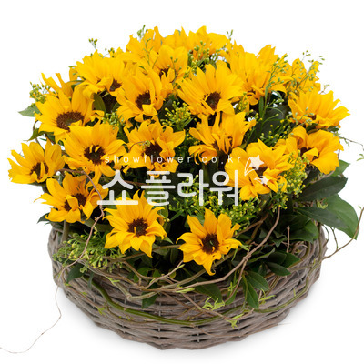 해바라기꽃바구니 382a