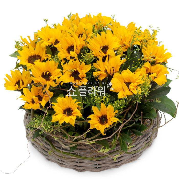 상세이미지