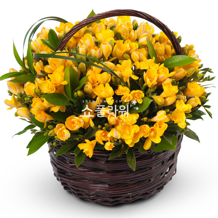 상세이미지