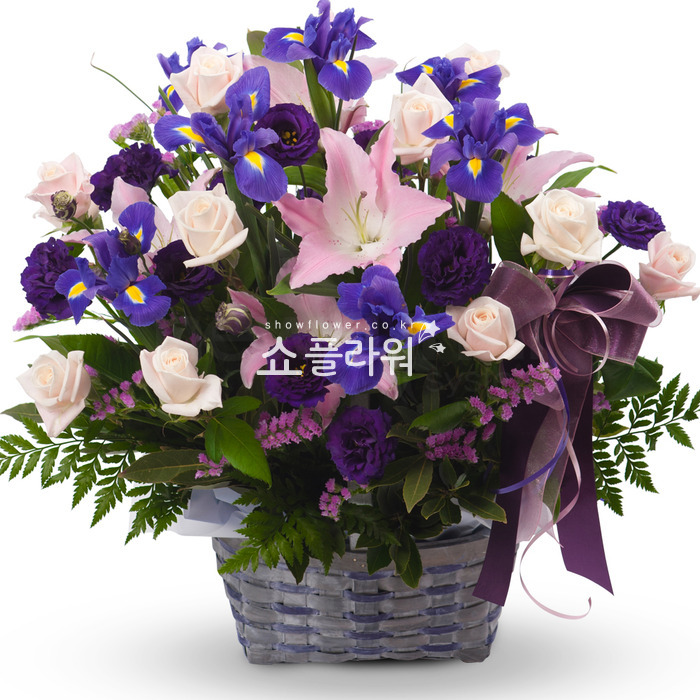 상세이미지