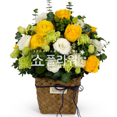 그린나래