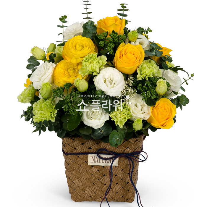 상세이미지