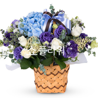 보라보라