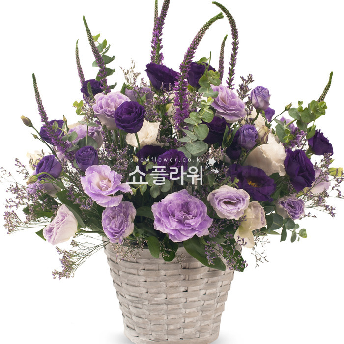 상세이미지