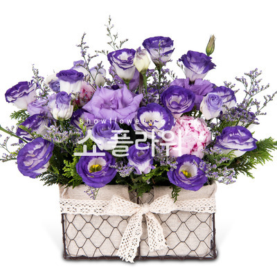 보라리시안바구니