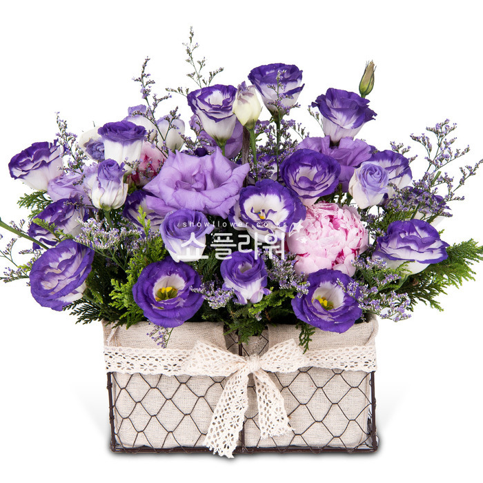 상세이미지