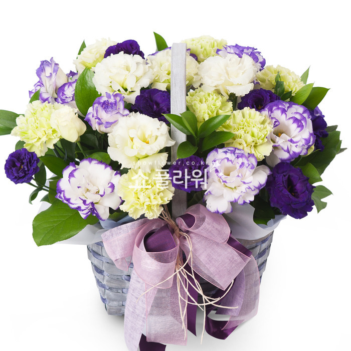 상세이미지