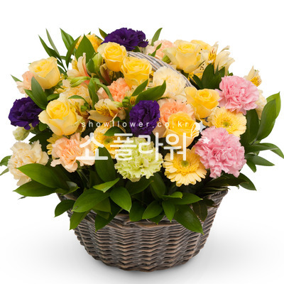 귀여운여인