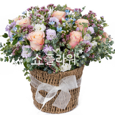 파스텔