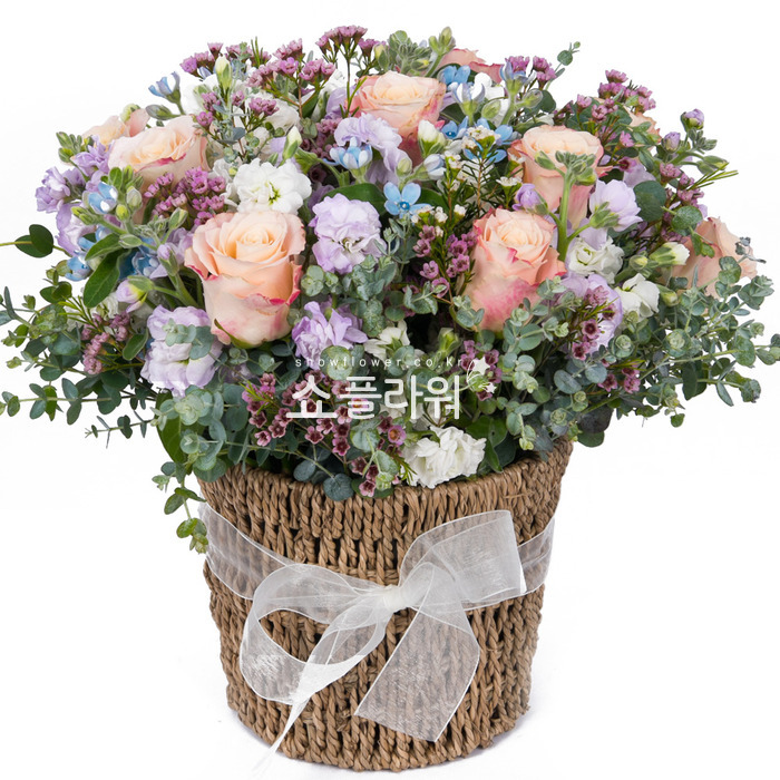 상세이미지
