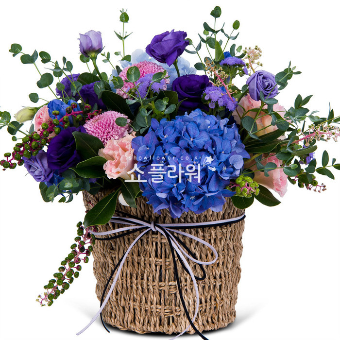 상세이미지