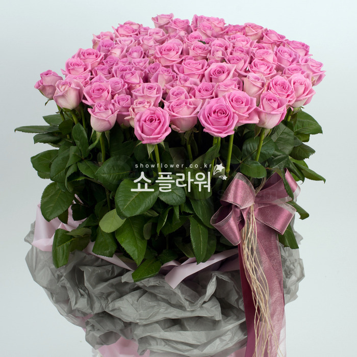 상세이미지