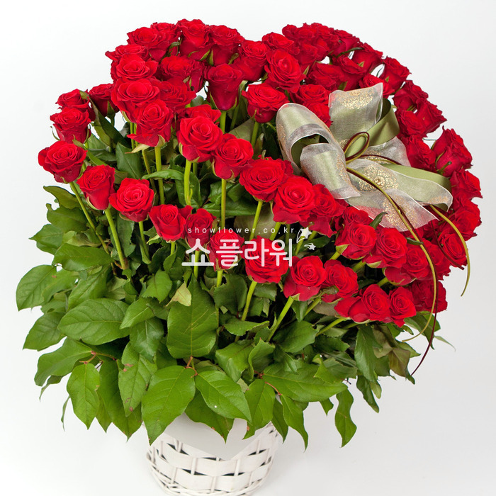 상세이미지