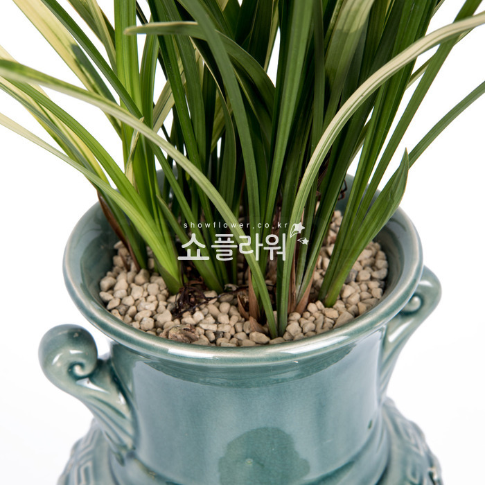 상세이미지