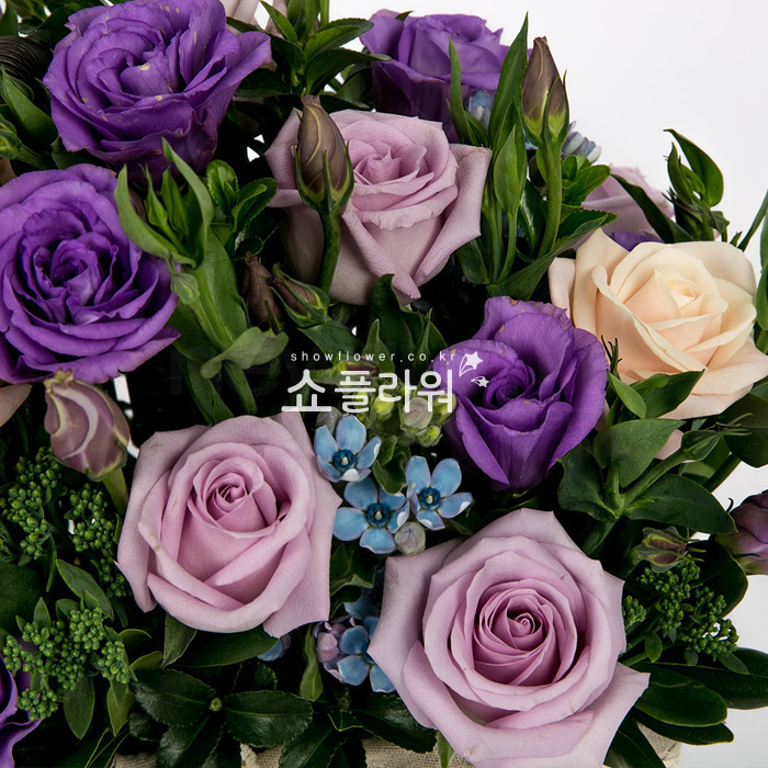 상세이미지