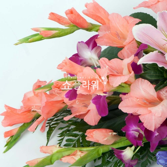 상세이미지