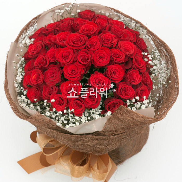 상세이미지