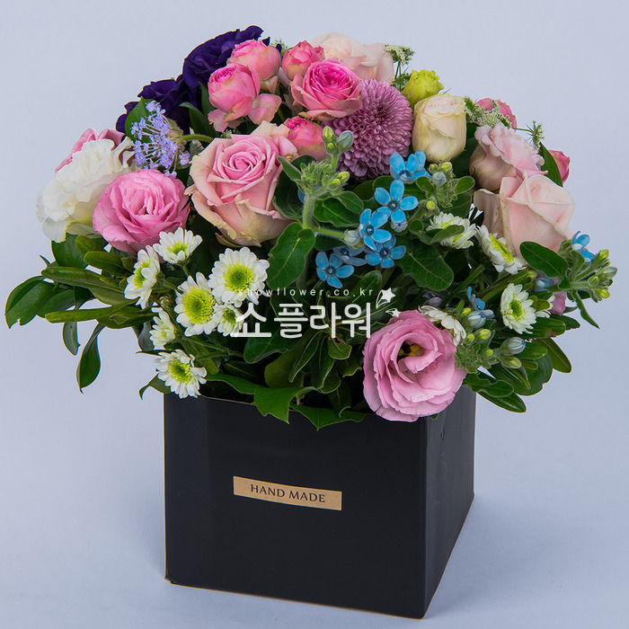 상세이미지