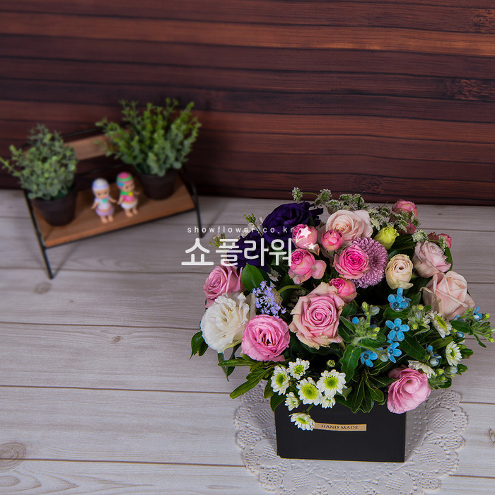 상세이미지