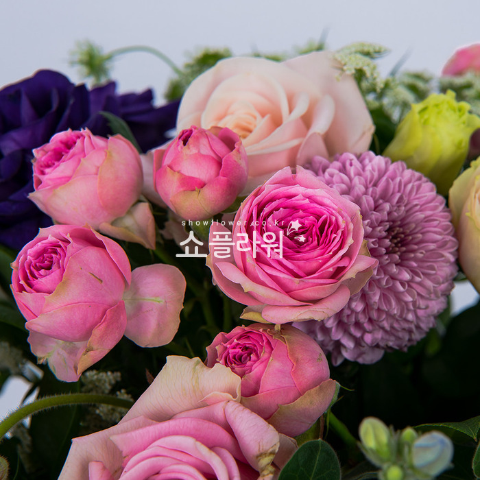 상세이미지