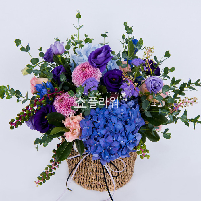 상세이미지