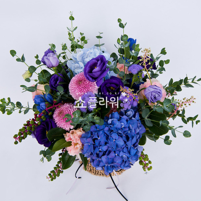 상세이미지