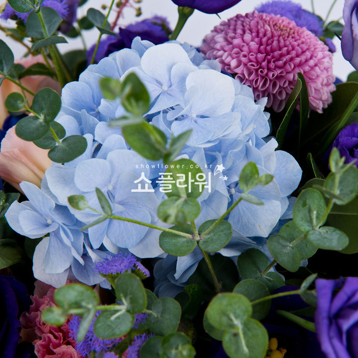 상세이미지