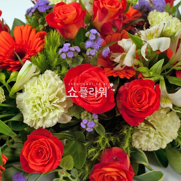 상세이미지
