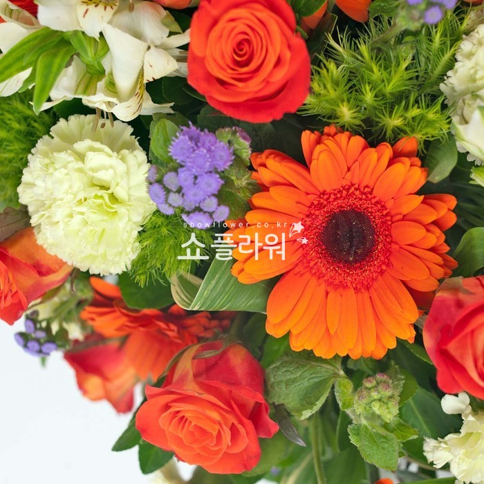 상세이미지