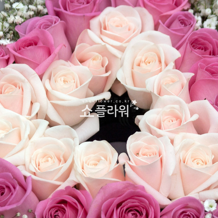 상세이미지
