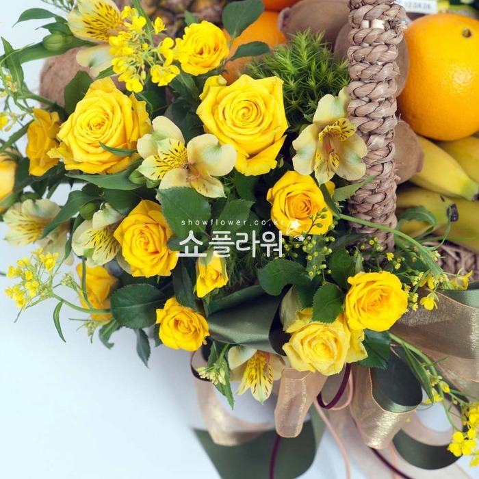 상세이미지