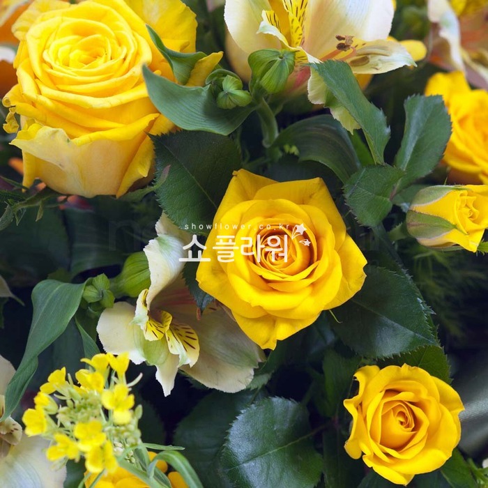 상세이미지