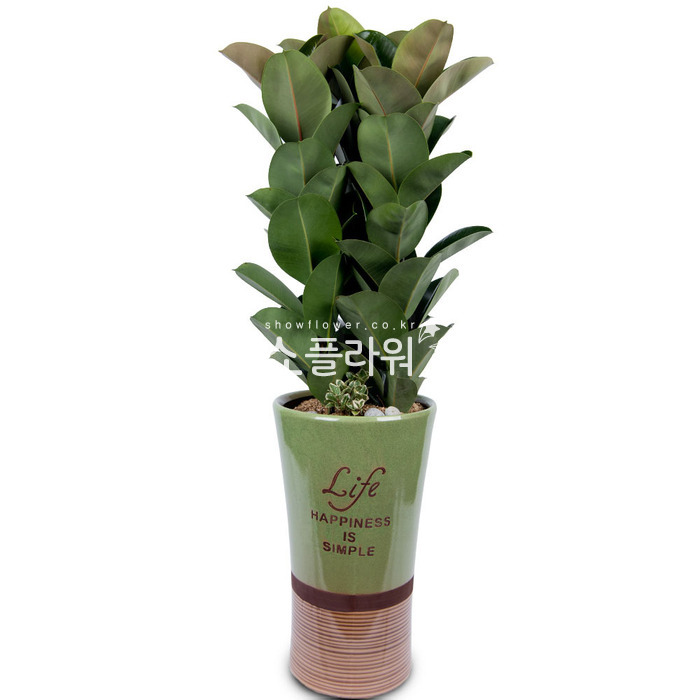상세이미지