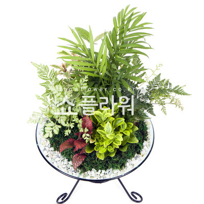 모듬수반
