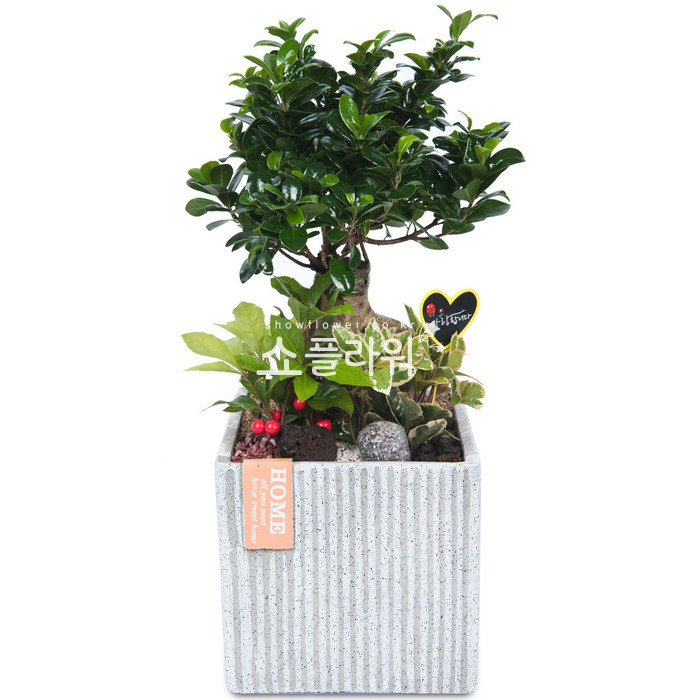 상세이미지