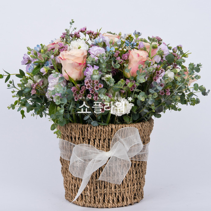상세이미지