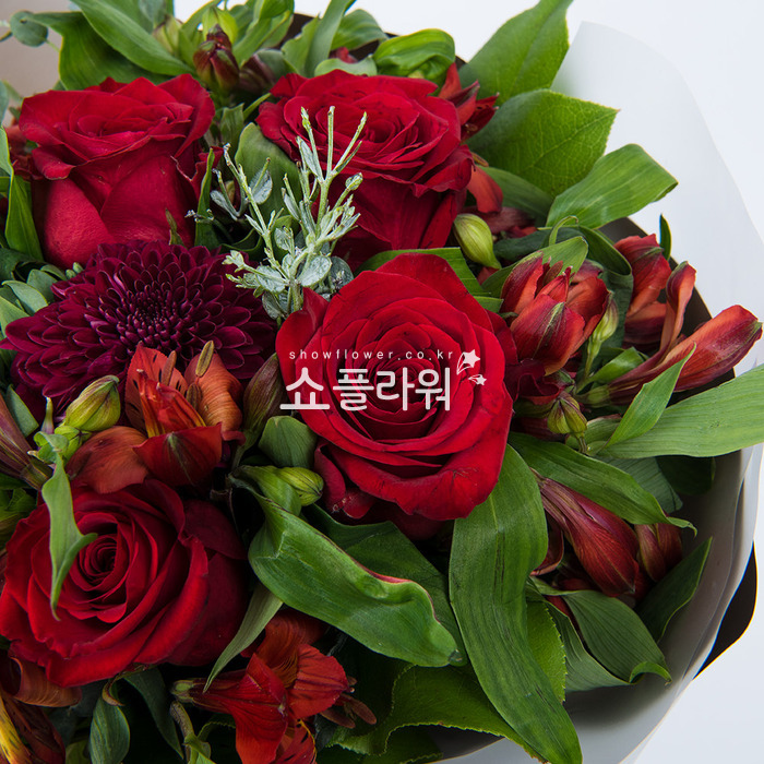 상세이미지