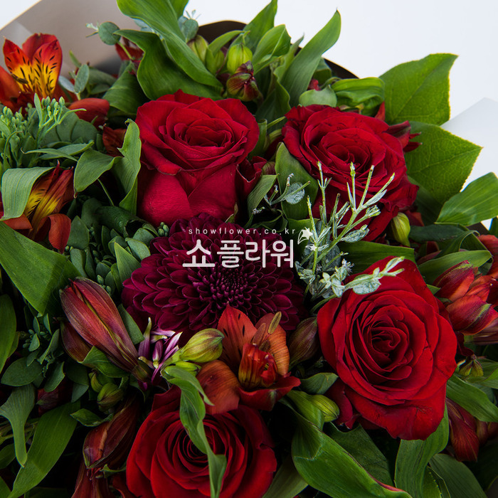 상세이미지
