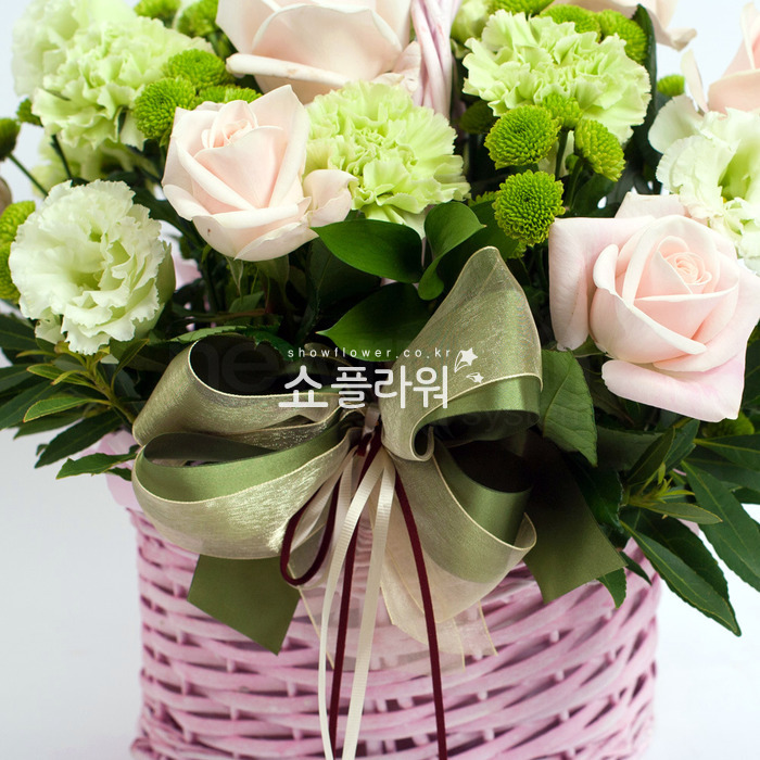 상세이미지