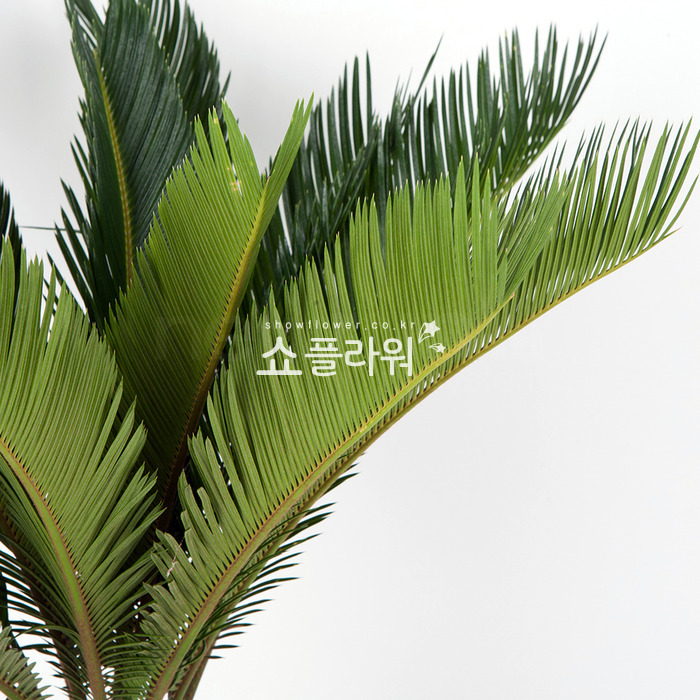 상세이미지