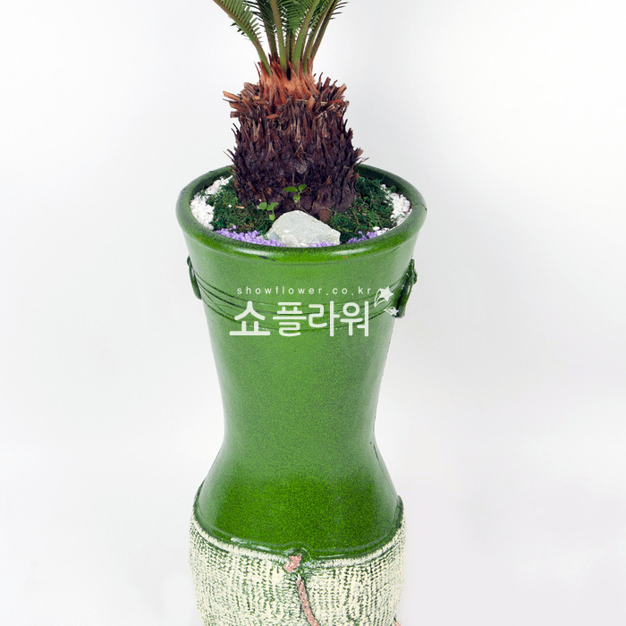 상세이미지