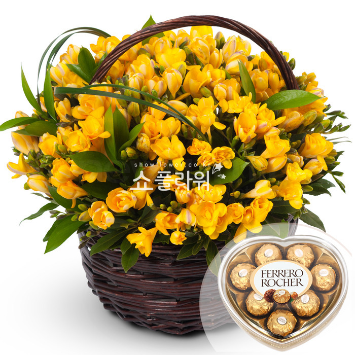 상세이미지