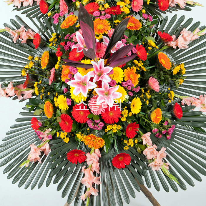 상세이미지