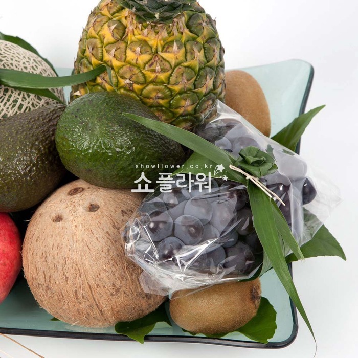 상세이미지