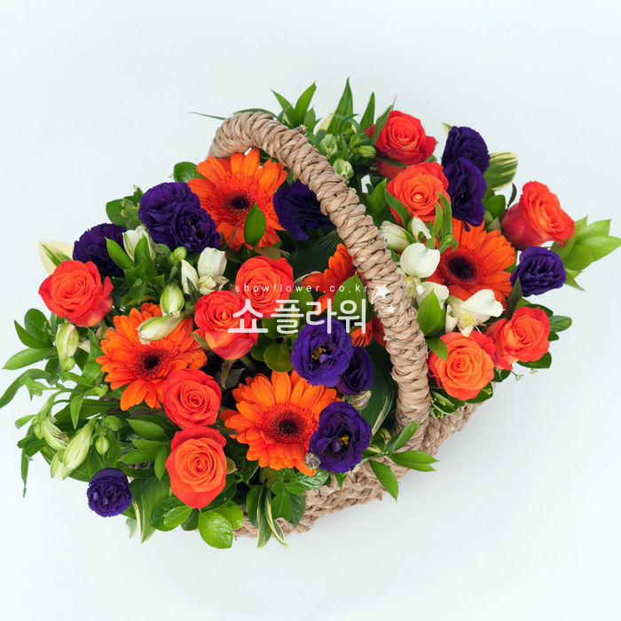 상세이미지