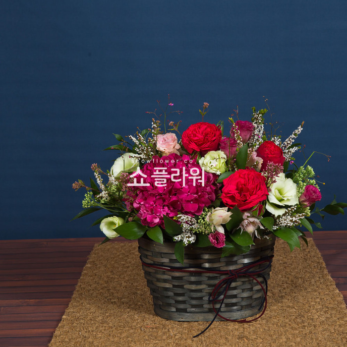 상세이미지