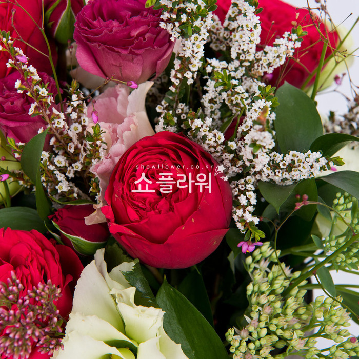 상세이미지