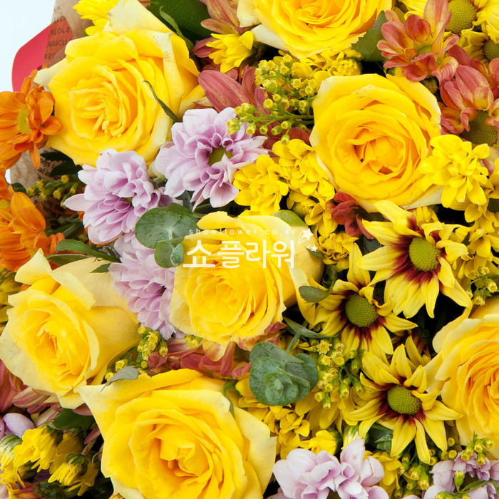 상세이미지