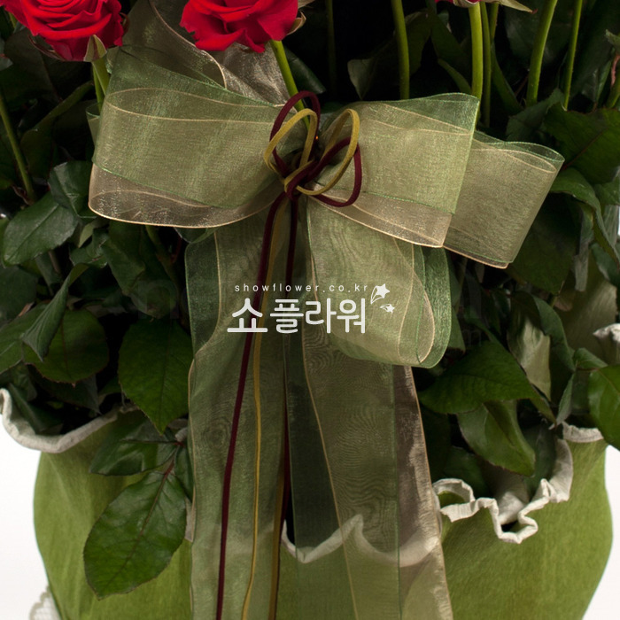 상세이미지