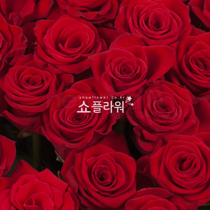 상세이미지